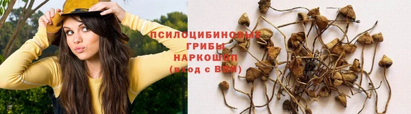 дмт Богородск