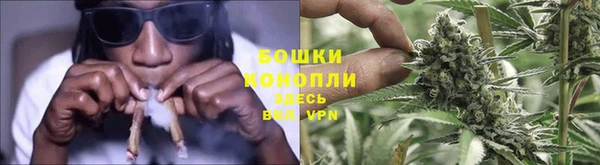 каннабис Беломорск