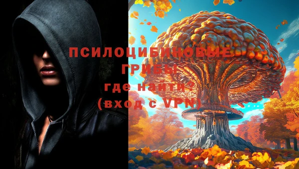 дмт Богородск