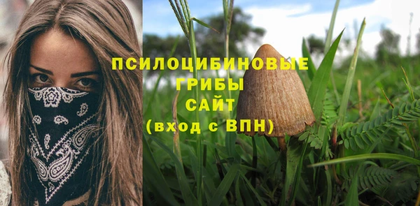 хмурый Богданович