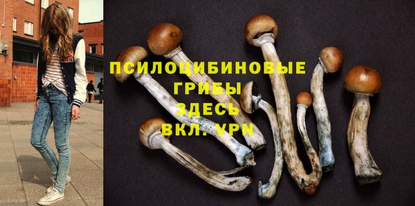 дмт Богородск